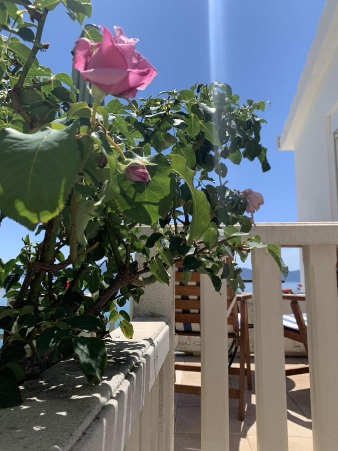 Villa Orca Podaca Zewnętrze zdjęcie